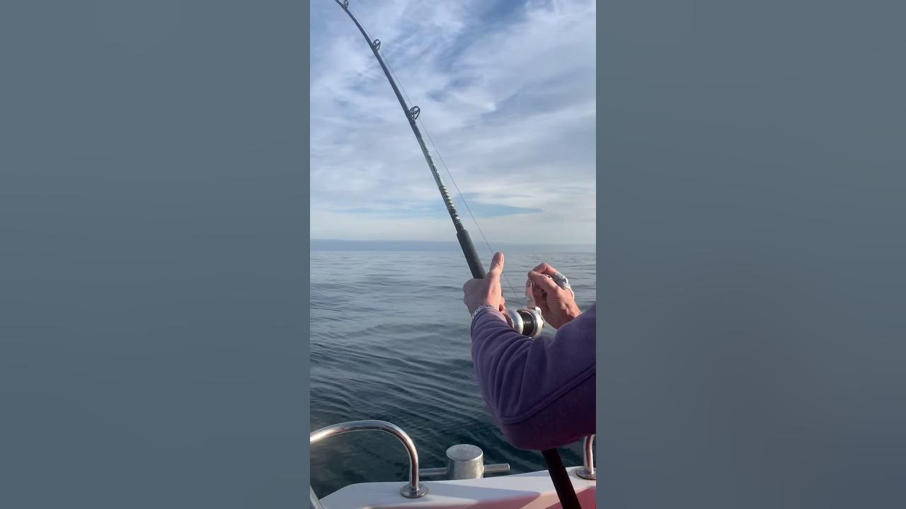 Offshore reef fishing Hayling island YouTube