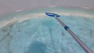 BEST pool skimmer net for above ground pools