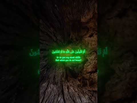 وقالوا لن تمسنا النار الا ايام معدودة تلاوة بصوت تقشعر له الابدان