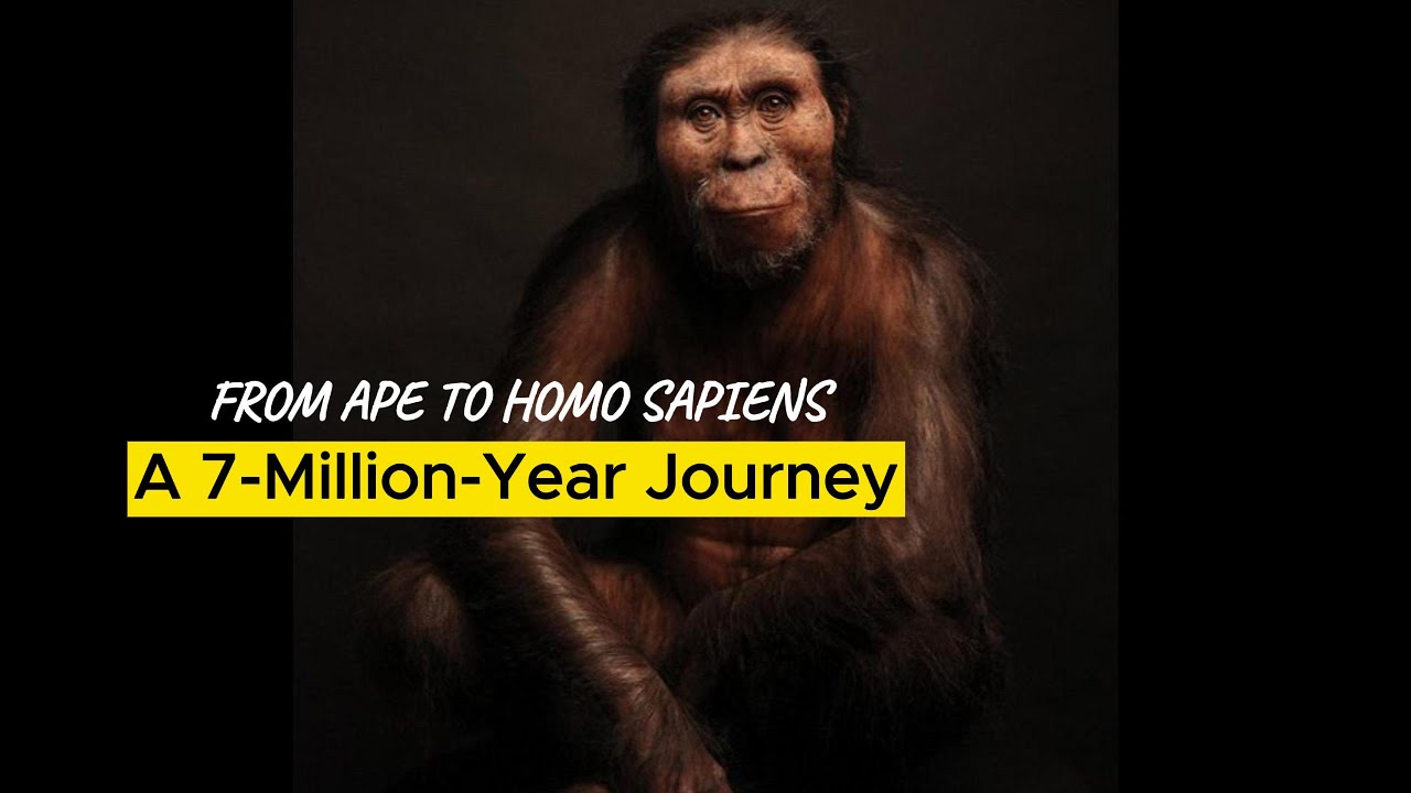 From Ape to Homo Sapiens – A 7-Million-Year Journey - YouTube
