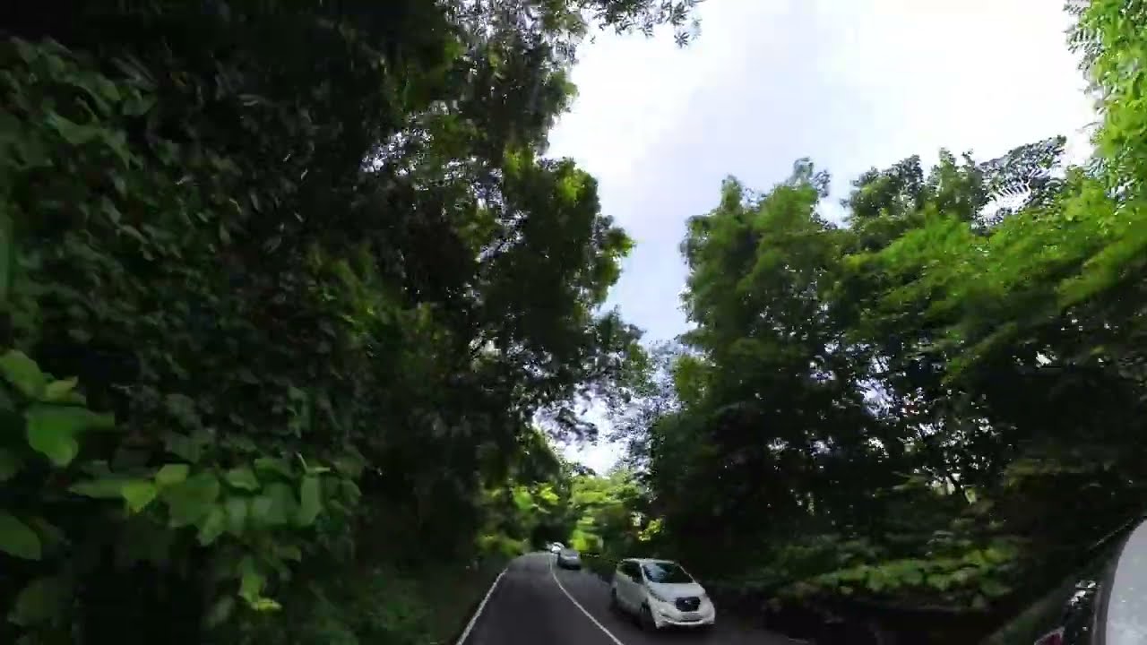 Kochi to Munnar  Road trip Amazing Drive through Lush green roads  - June 2023 