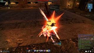 Vindictus Hurk Second Weapon Transformation