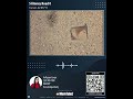 S Kinney Road 0, Tucson, AZ 85713 | Multi-Family For Sale