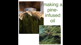 making a white pine infused oil