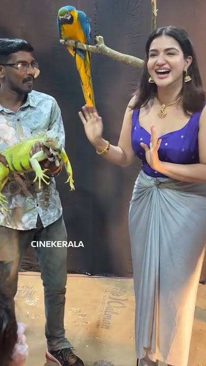 Why will Salman Khan marry Honey Rose #shortvideo