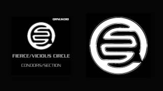 Vicious Circle - Condors