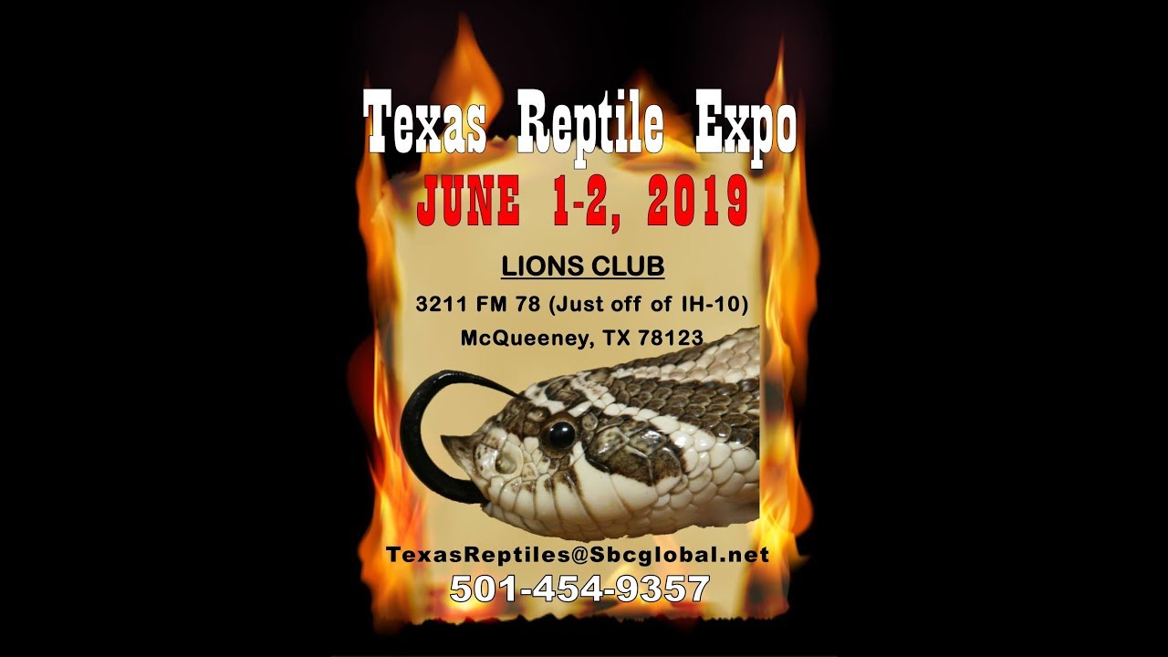 Texas Reptile Expo June 12, 2019 YouTube