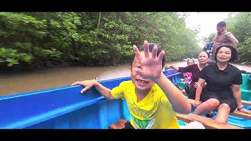 KHÁM PHÁ RỪNG NGẬP MẶN MŨI CÀ MAU CỰC NAM CỦA TỔ QUỐC