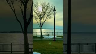 Amazing Nature view in America 🌊✨💕 #shortsviral #nature #iceriver #usa #winter