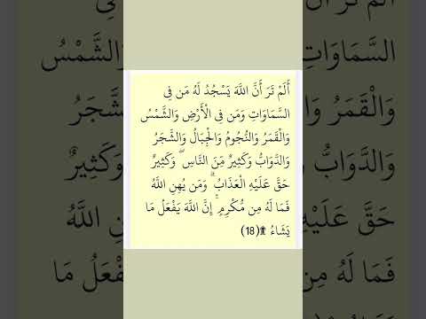 قال الله تعالى الآية