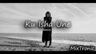 Miniatura del video "Flori Mumajesi - Ku isha une ft. Argjentina (MixTronic) Deep House Mix | Muzikë Shqiptare 2023"