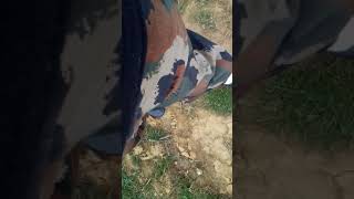 Man In Mary Jane Shoes Pretending Outside Stirrup Anklebrace