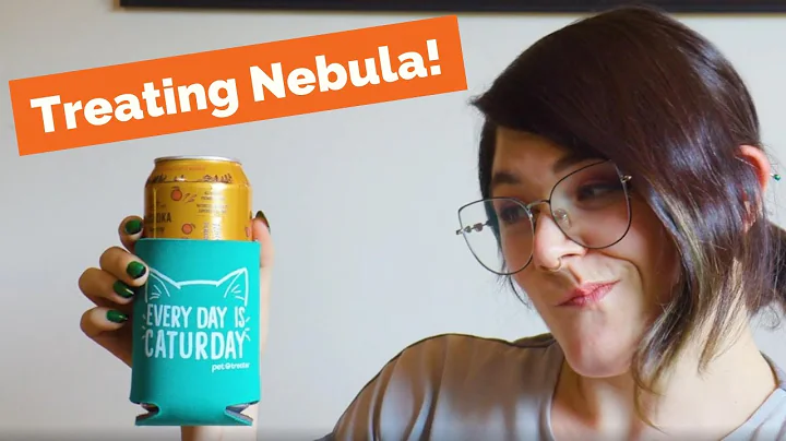 Video 42571: gorgeous bengal cat, beautiful bengal cat, pets