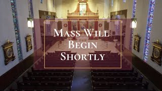 Are You Sincere When You Receive the Eucharist?