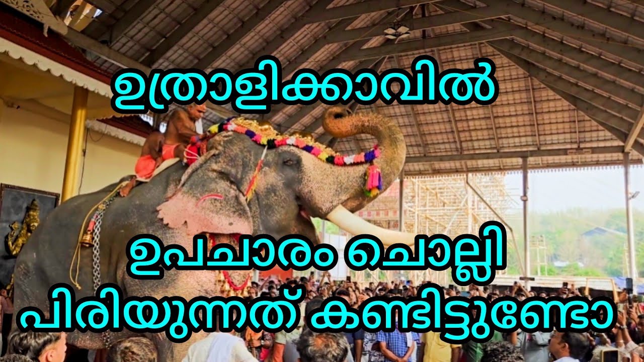 ഉത്രാളിക്കാവ് പൂരം 2026 🔥 അവസാന ദിവസം | ഉപചാരം ചൊല്ലി പിരിയൽ ചടങ്ങ് 