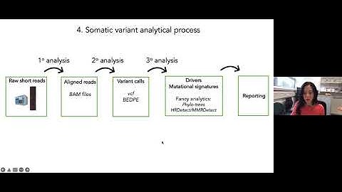 How to Read a Cancer Genome | Part 1: The basics of cancer genomics