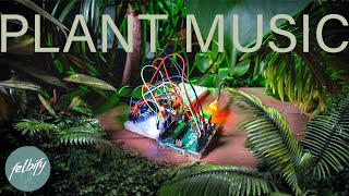 The best ARDUINO PROJECT 2021? Music with plants | learn fast