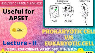 Differences between Prokaryotic Cell & Eukaryotic Cell || Basics Clearance