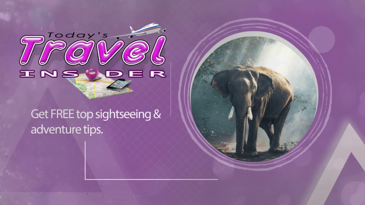 Today's Travel Insider - About US Video