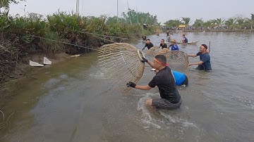 Lễ hội nơm cá đền bà cô 2025 / Nơm cá hưng hugo