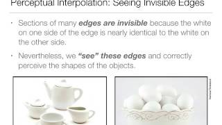 Perception: 4.3 Perceptual Grouping