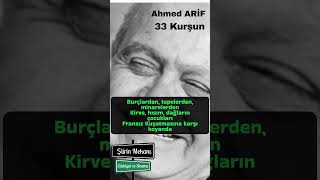Şiirin Mekanı - Ahmed Arif - 33 Kurşun Resimi