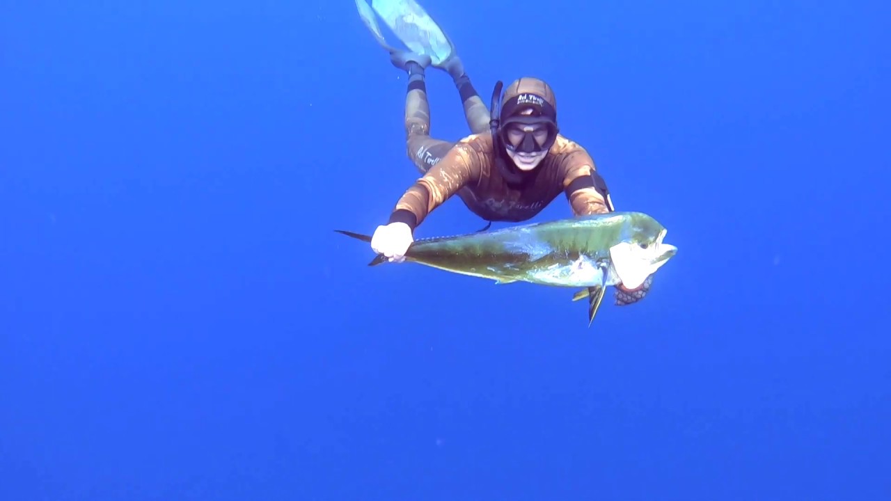 EP 4 Spearfishing MAHI MAHI offshore Perth WESTERN AUSTRALIA YouTube