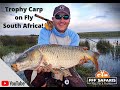 Carp Fishing (PB on the fly rod) South Africa #flyfishing #carp #southafrica