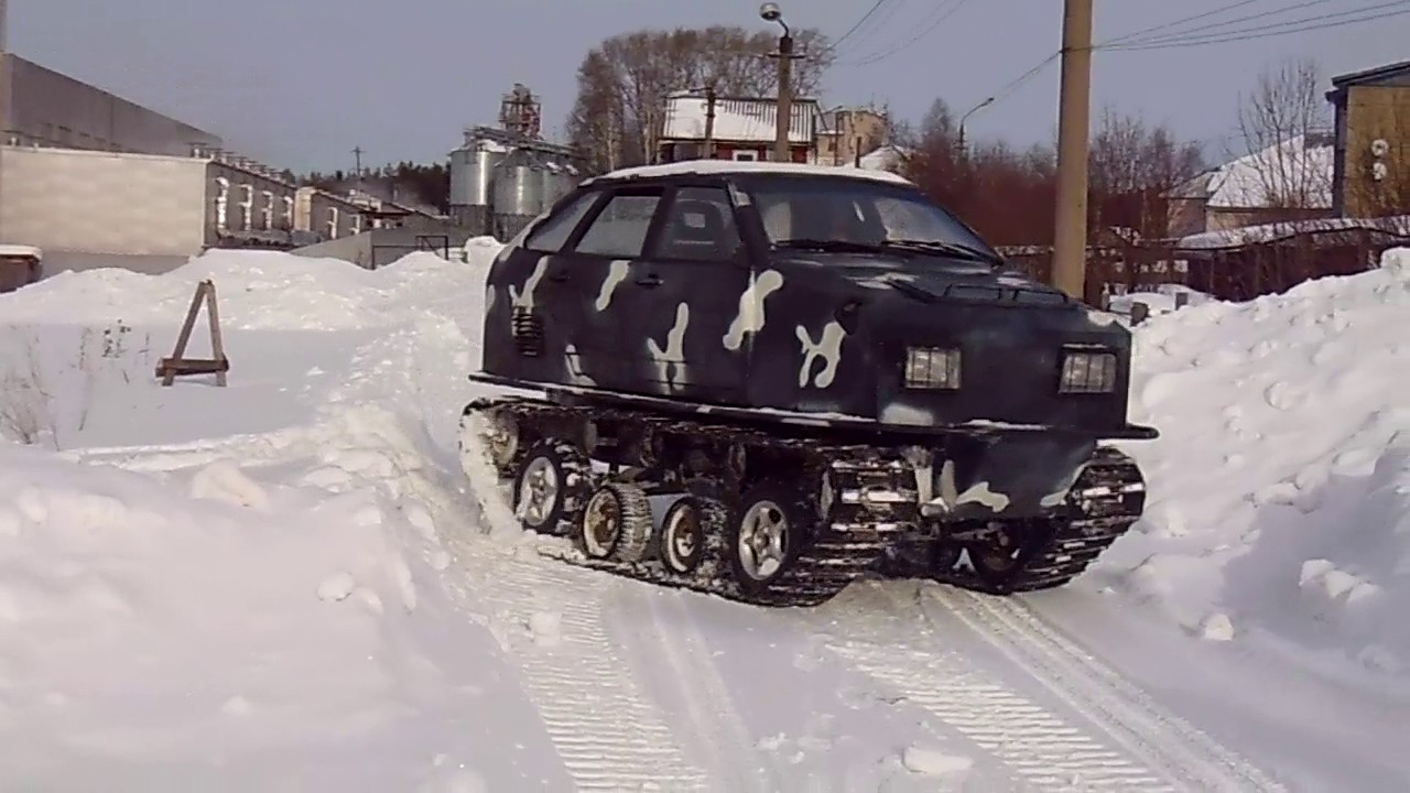 Веста по снегу Веста по снегу