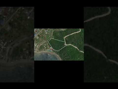 5 hectares title 4 million dingallan Aurora pls call richel b 09544178006 Eddie 09230232341