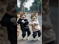 Cat Zumba Dance 😍😼 meow #cat #kitty #dancing #cutecat #kitten
