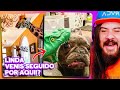 Los animales mas divertidos y virales de tiktok  frankbaun