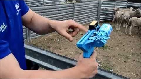 Applying FlexiTags with the FlexiMatic web