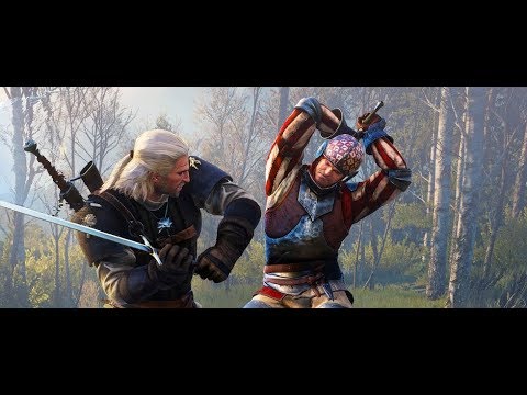 The Witcher 3 GTX 1080Ti Max Settings 1080p 60FPS Gameplay