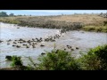 Wildebeest Migration Mara River Crossing, Kenya