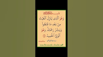 سورة الشورى - سورة 42 - اية (28)