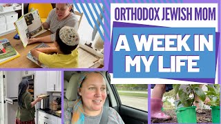 Orthodox Jewish Week in the Life | WITL | Orthodox Jewish Homeschooling Mom (Jar of Fireflies)