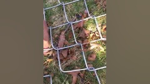 DIY Tip How to seam or splice chain link Fence together