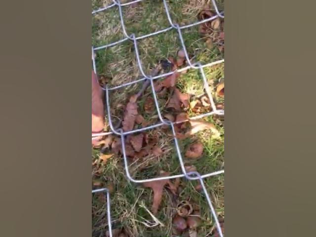 Qiziqarli jinsiy iqtiboslar