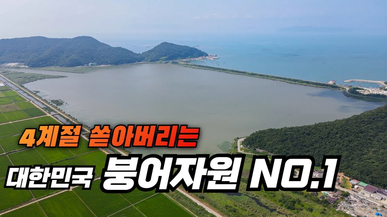 여기가 붕어 자원 넘버원, 4계절 쏟아버리는 곳이 정말 있네