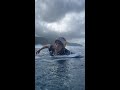 It's Hard to Have a Bad Day in Tahiti
