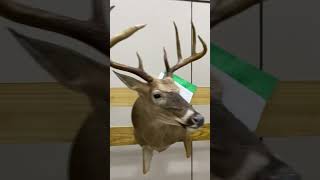 2024 Louisiana Taxidermist convention & competition