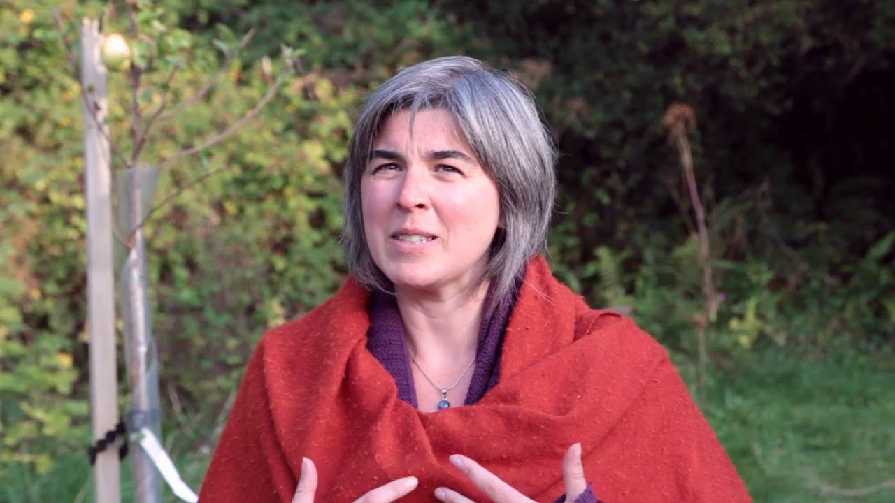 The College of Sound Healing Practitioner Course - YouTube