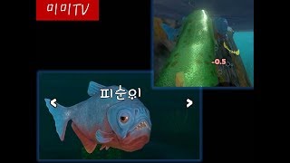 [미미] | 피드앤그로우 피라냐 키우기 1편