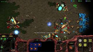 Brood War 2026 ZvP