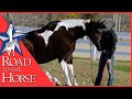 Meet road to the horse 2024 wild card lindsey patterson