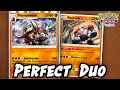 The New Mamoswine Is a Problem! Feat. Regirock [Pokémon TCG Pocket]