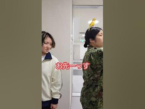 トイレを我慢する女性自衛官の末路　＃Shorts【陸上自衛隊・女性自衛官・自衛隊芸人・お笑い・福知山駐屯地・ちっぴぃちゃんズの陸上自衛隊あるある】