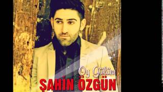 Şahin Özgün - Hayırsız