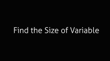 Program to Find the Size of Variables